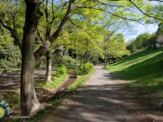 くさぶえのみち徳生公園方面