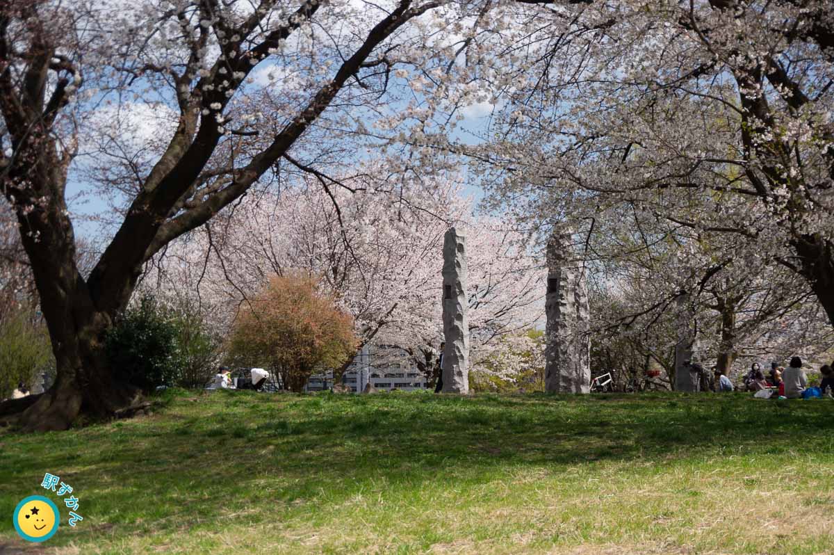 満開の桜並木