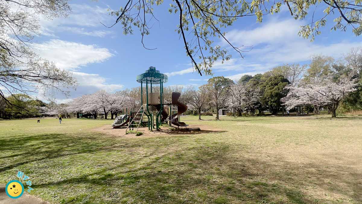菅生緑地東地区の広場