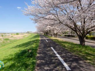 稲城北緑地公園近く多摩サイ