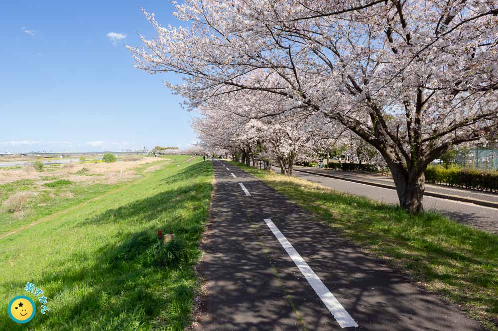 稲城北緑地公園近く多摩サイ