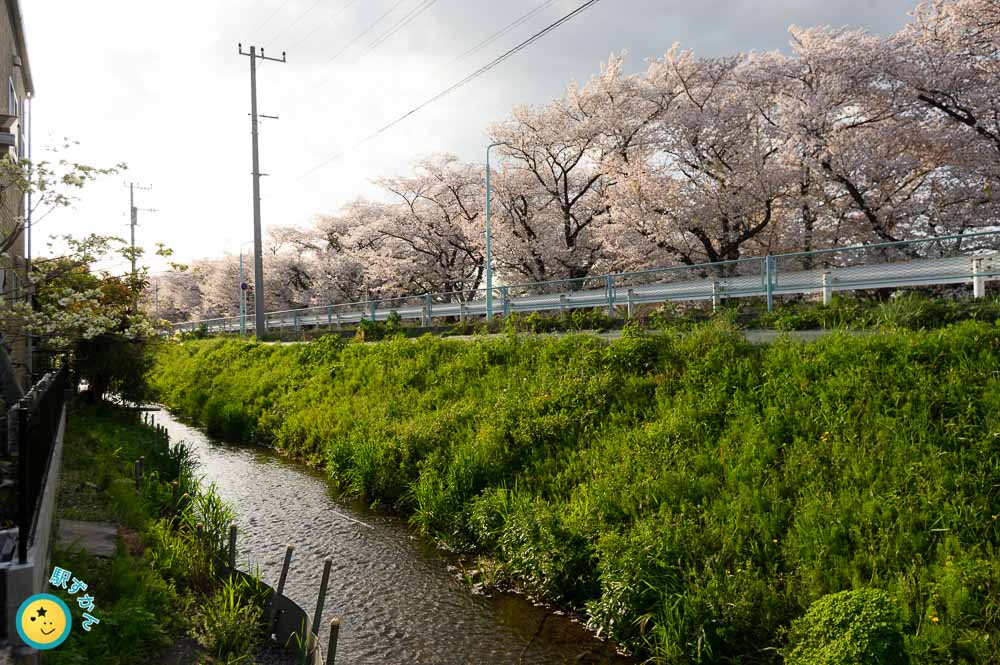 大丸用水と稲城北緑地公園