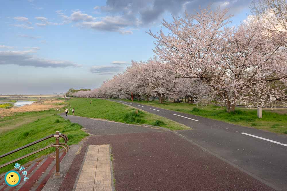 稲城市の多摩川サイクリングロード