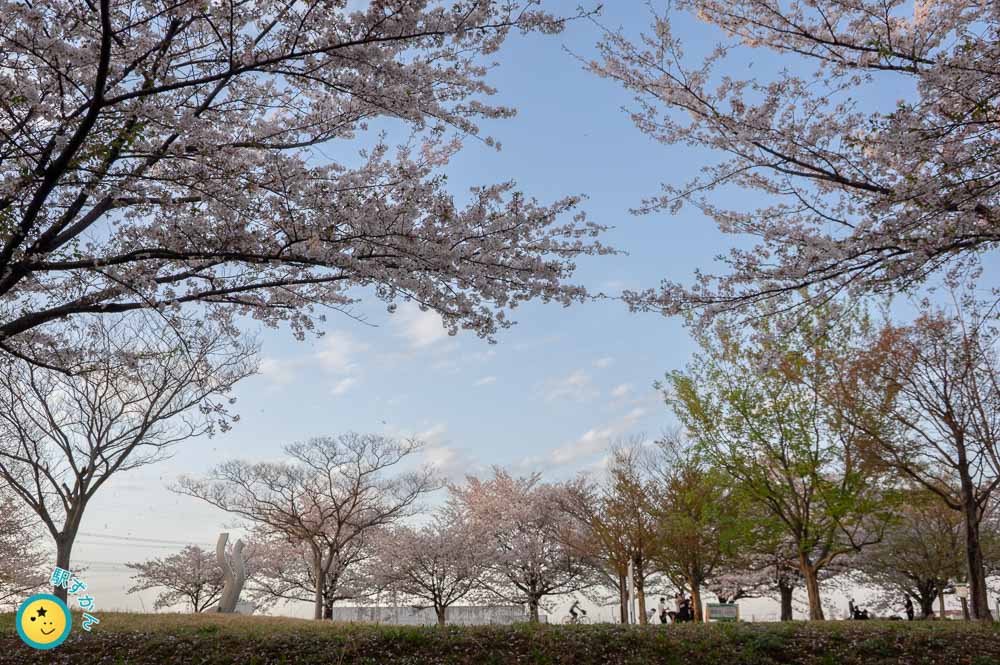 稲城北緑地公園