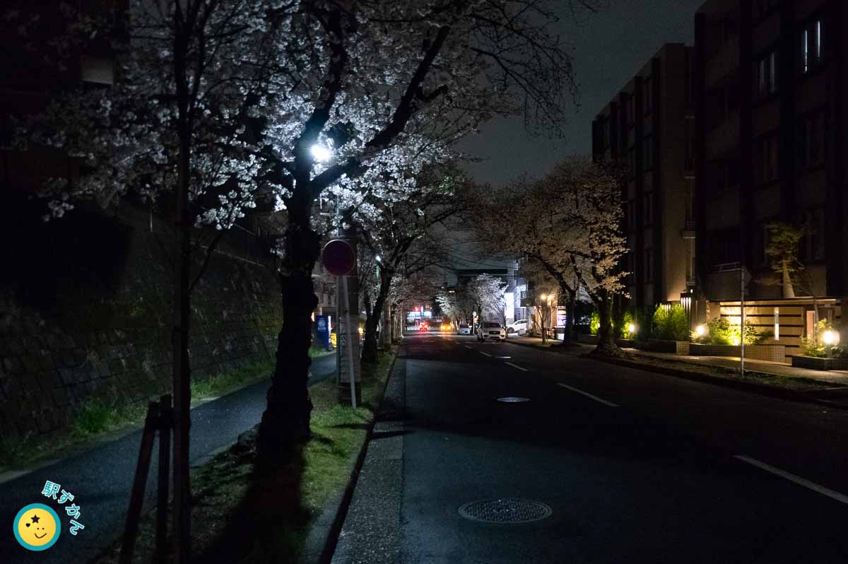 たまプラーザの夜の住宅地