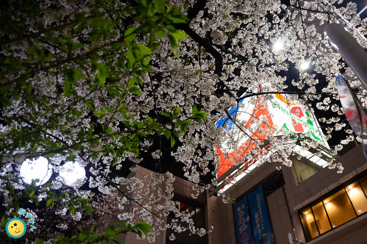 イトーヨーカドーと夜桜
