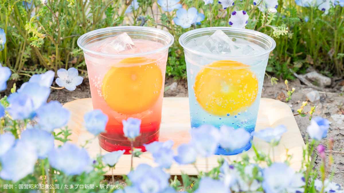 花木園売店のソーダ