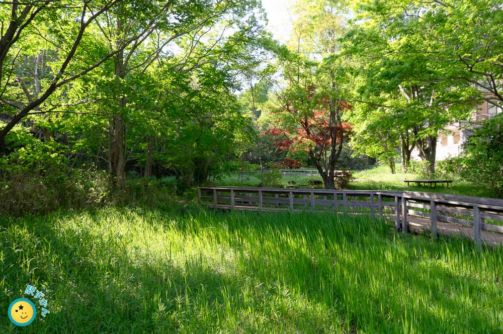 生田緑地 初山地区 水生植物鑑賞池