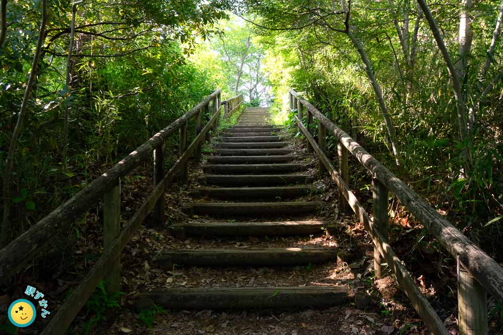 森のトンネルと長い階段