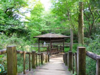 水生植物鑑賞池の東屋