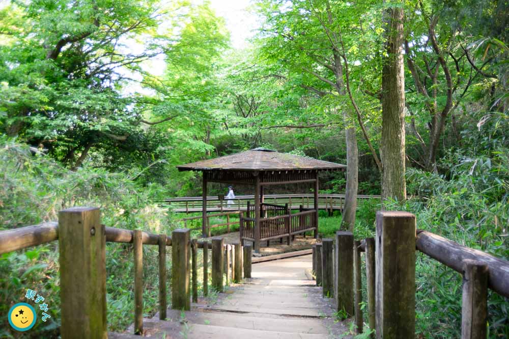 水生植物鑑賞池の東屋
