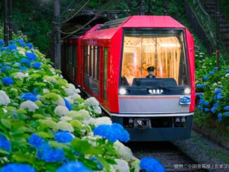 観光列車、夜のあじさい号