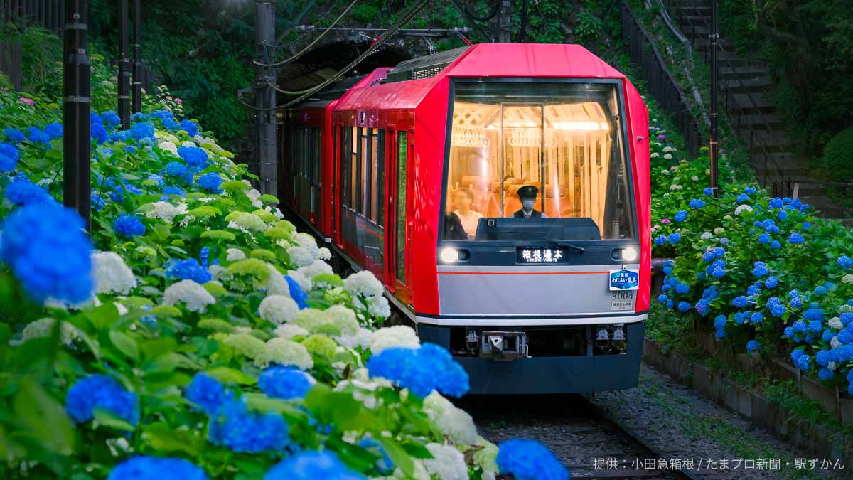 観光列車、夜のあじさい号