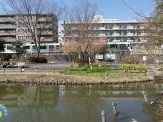 ひょうたん池と田園都市線の電車