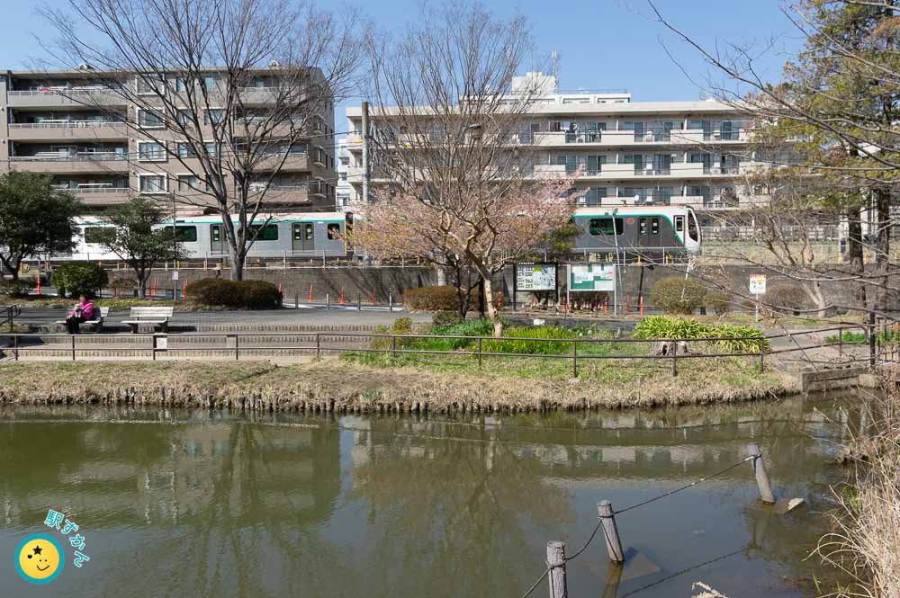ひょうたん池と田園都市線の電車