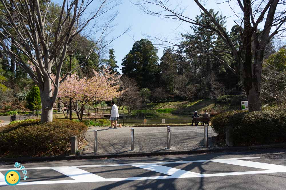 藤が丘公園