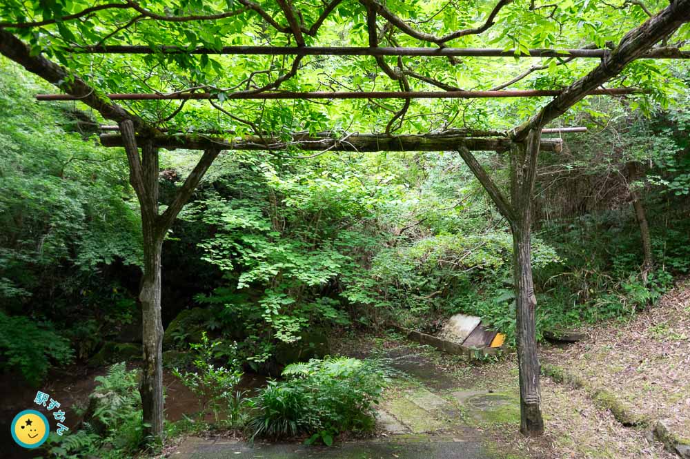 菖蒲池へ流れる小さな滝