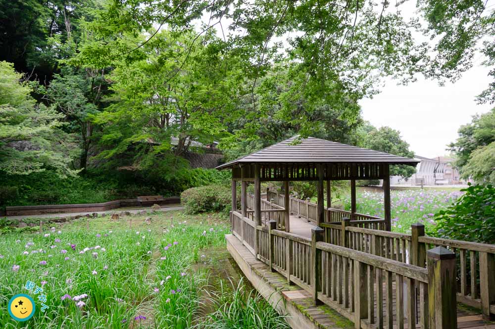 生田緑地 菖蒲池の橋