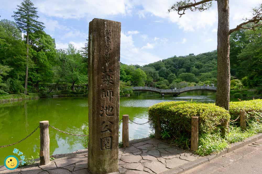 薬師池公園