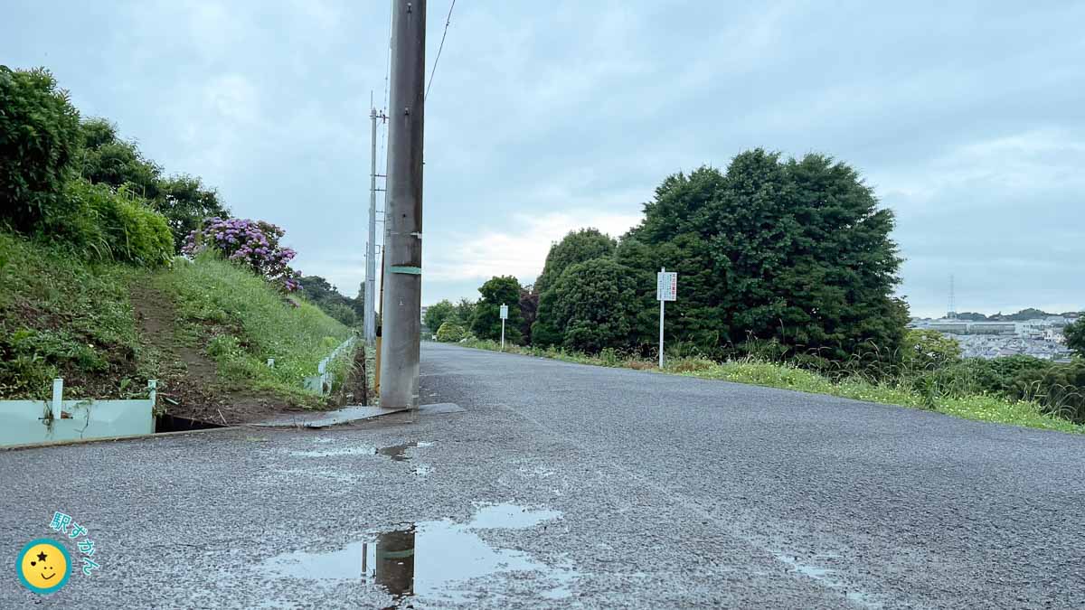 横浜市 花桃の丘