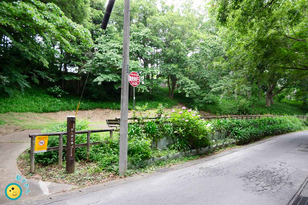 生田緑地おし沼広場