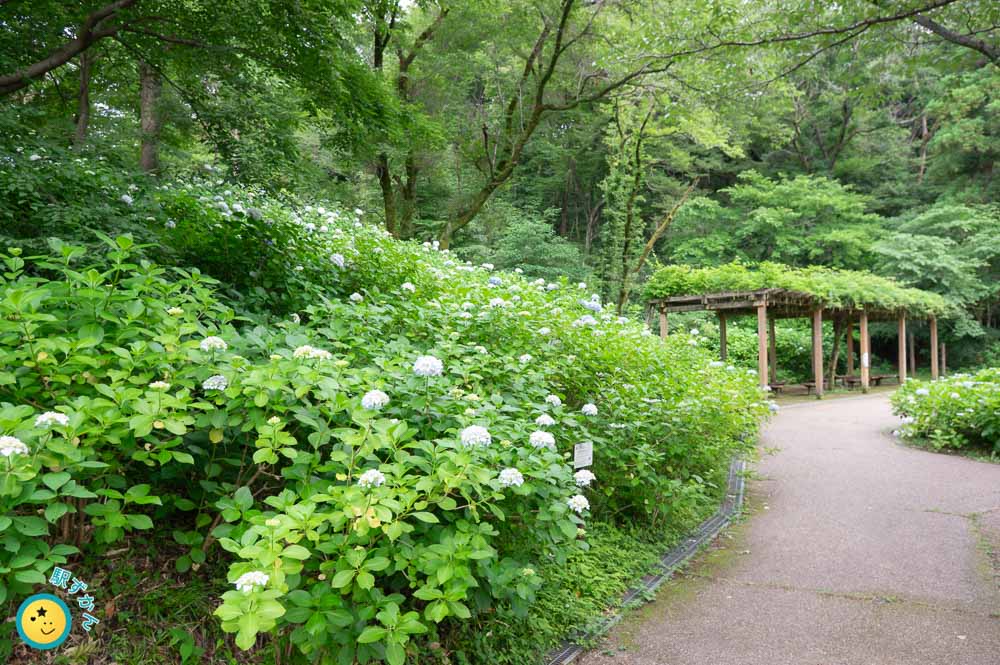 生田緑地あじさい山と東屋