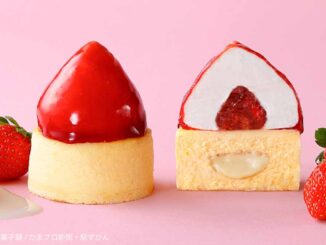 生とろりチーズケーキ生富士山いちご
