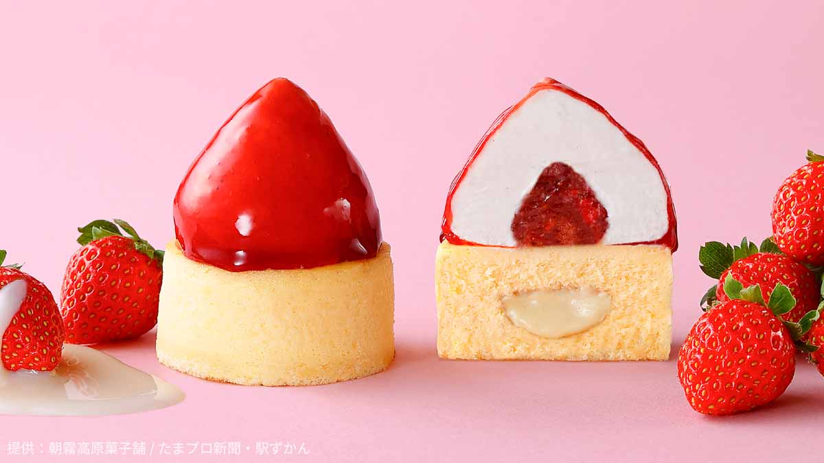 生とろりチーズケーキ生富士山いちご