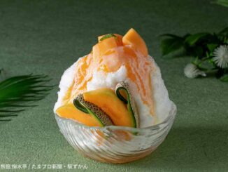 北海道産赤肉メロンかき氷