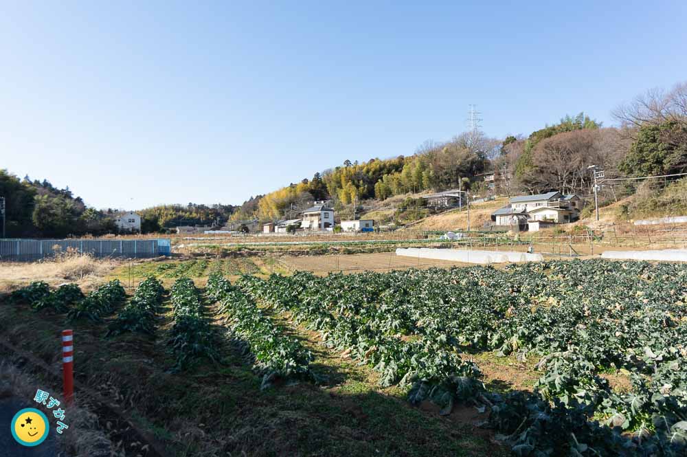 麻生区五力田の田畑