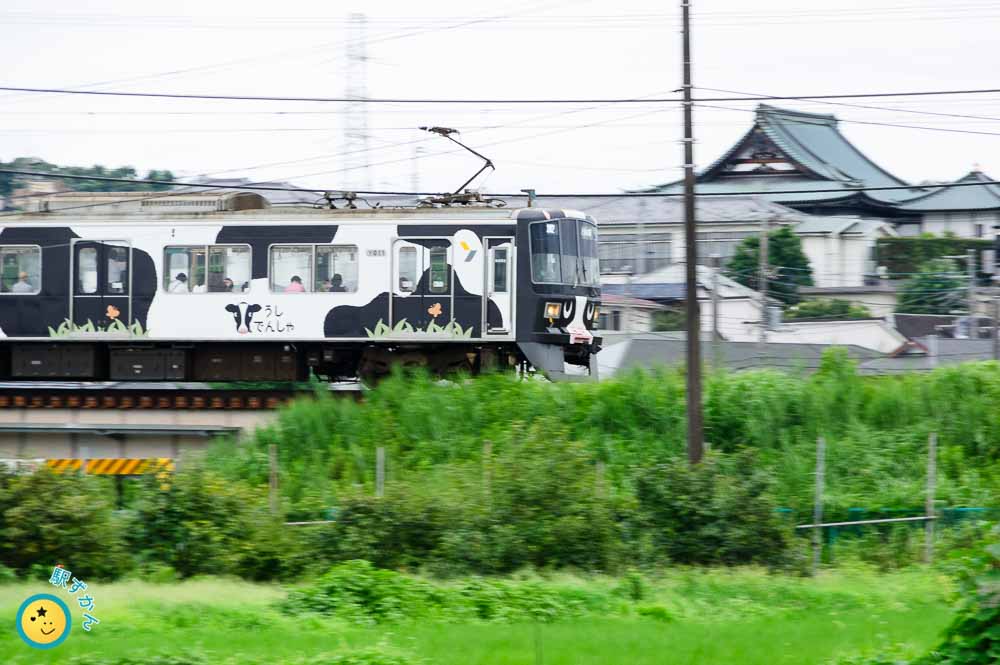 流し撮りした牛電車と福昌寺