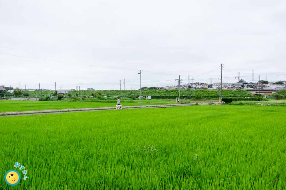 恩田町の田園風景とこどもの国線