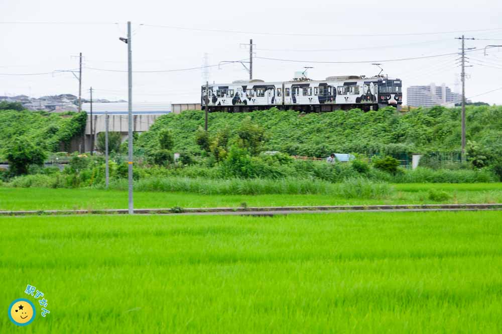 こどもの国線うしでんしゃと田んぼ