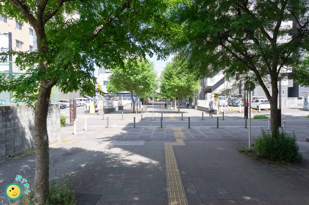 センター南駅 出口４の西側の街路樹