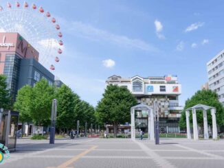 芝生のセンター北広場