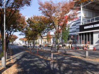 バーガーキング センター南店