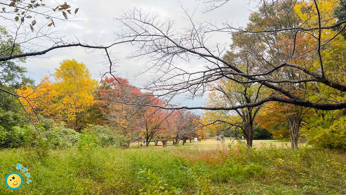 秋の菅生緑地東地区