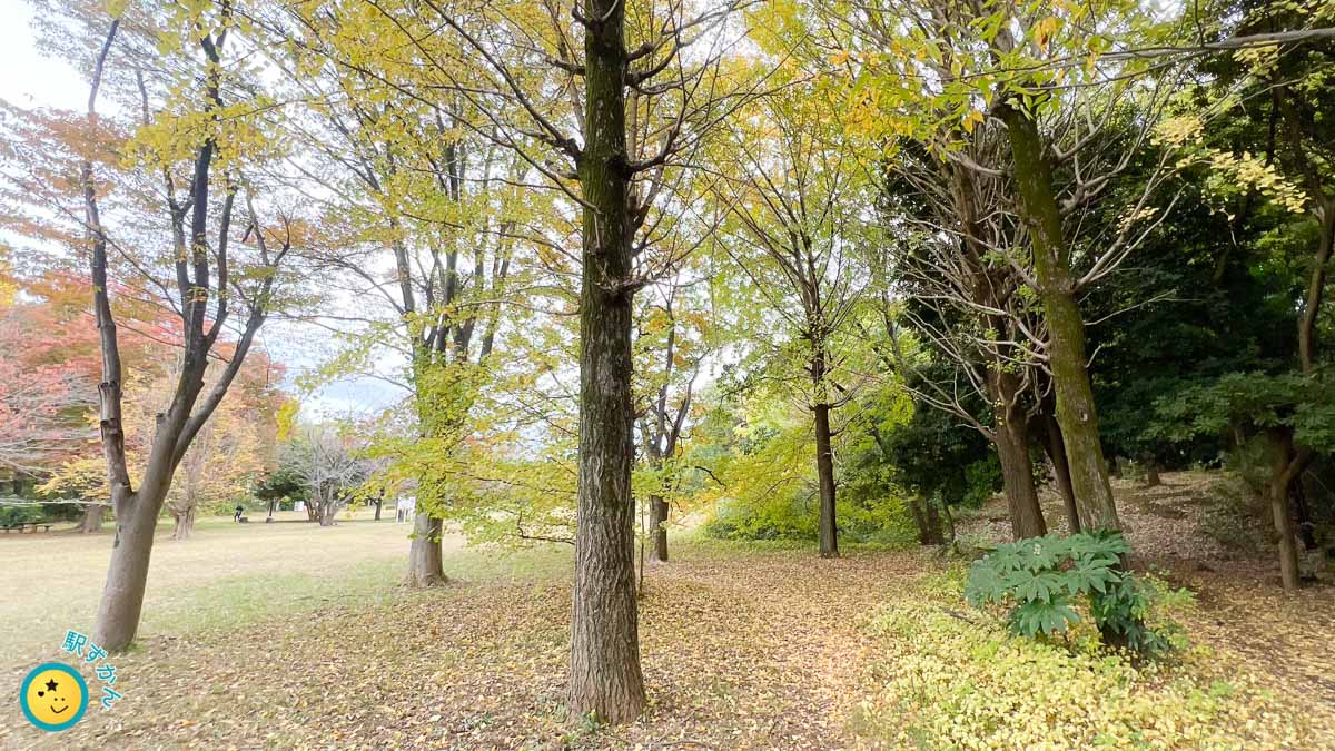 散歩コースからの紅葉