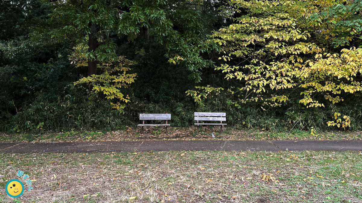 広場を眺められるベンチ