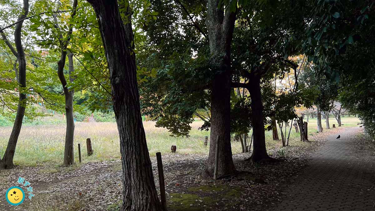 菅生緑地バス通り側