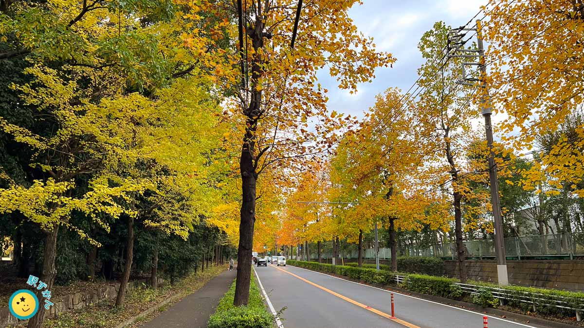 北部市場前の浄水場通り