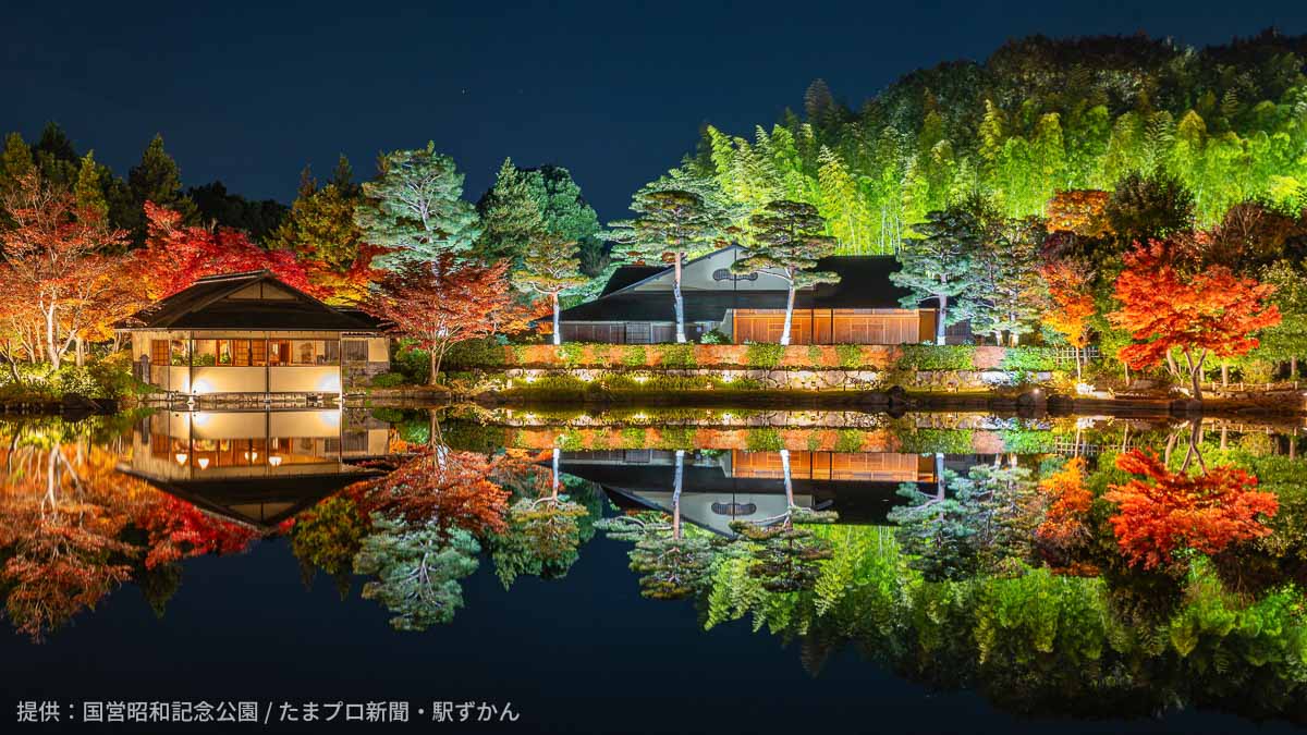 日本庭園の水面に反射する清池軒と歓楓亭