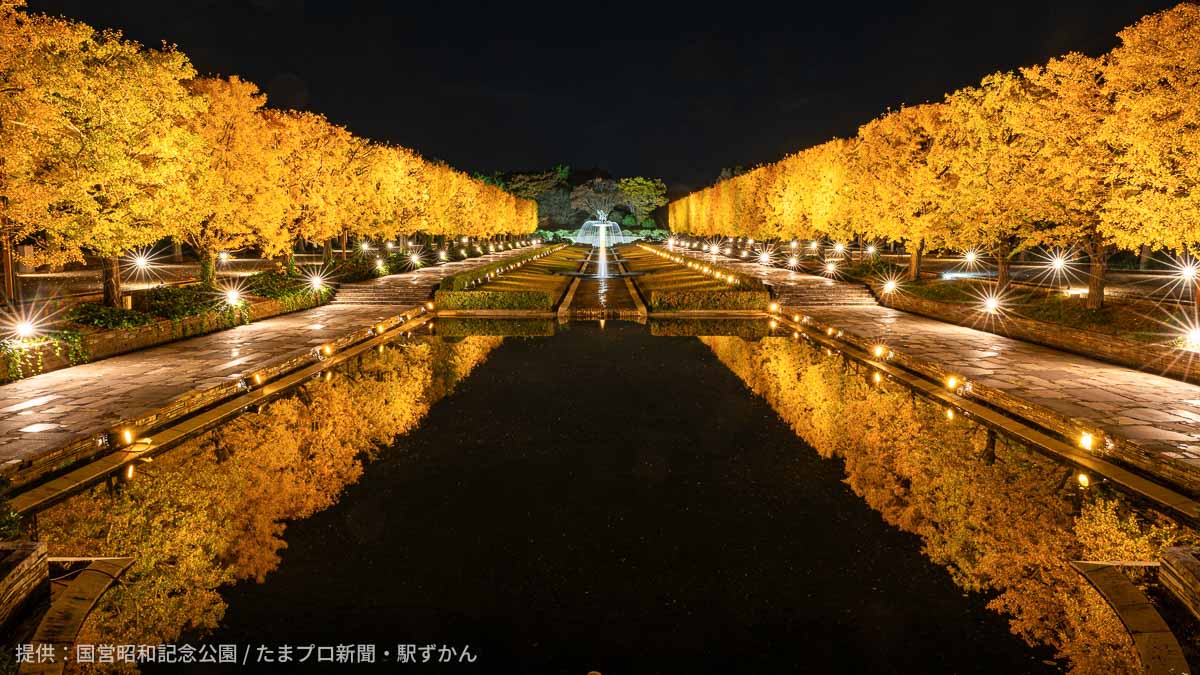 国営昭和記念公園 秋の夜散歩2025