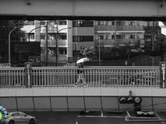 江田駅前歩道橋を日傘をさして渡る人
