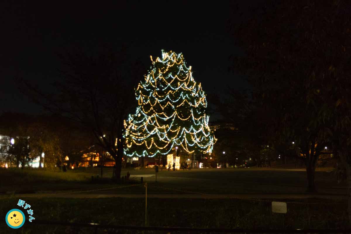たまプラーザペアツリーイルミネーション