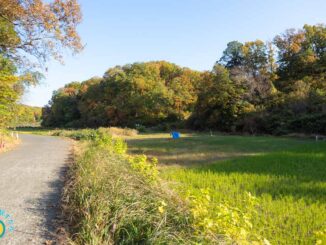 寺家ふるさと村