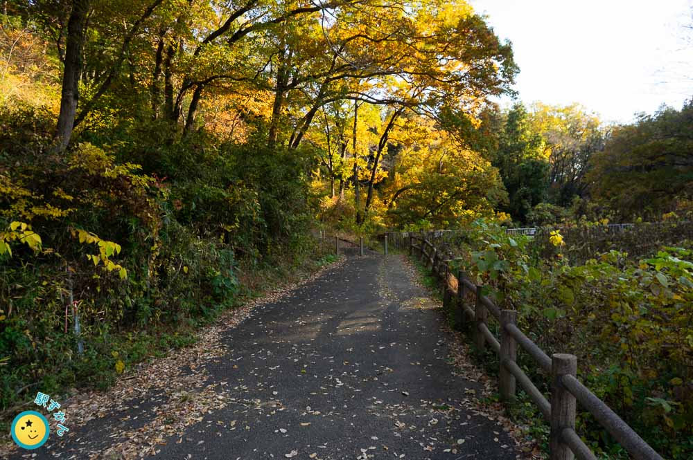 寺家ふるさと村の森