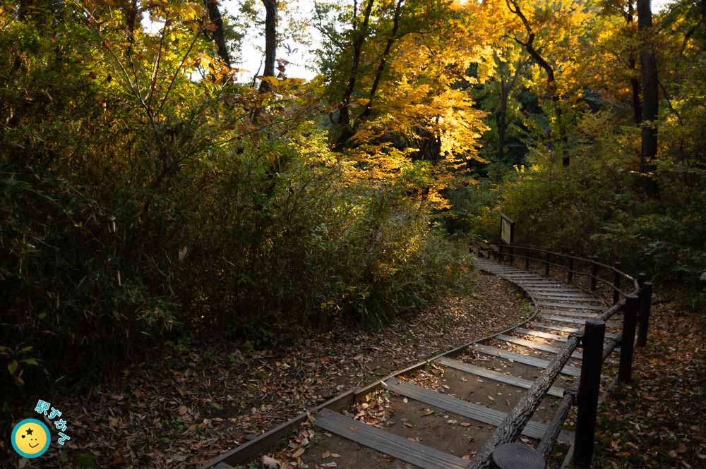 大池付近の紅葉