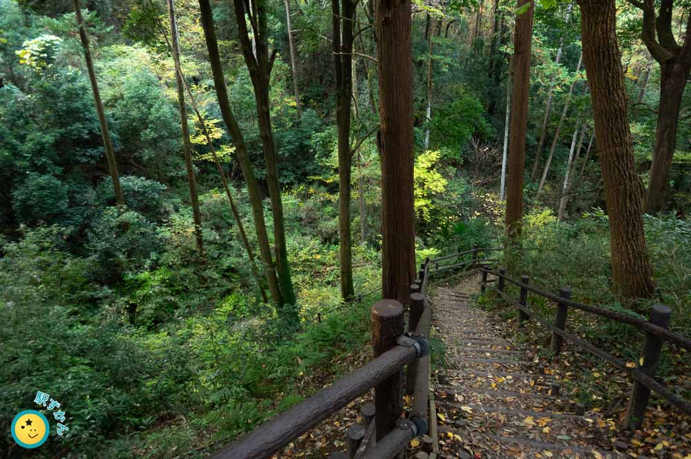 森林トレッキングコース