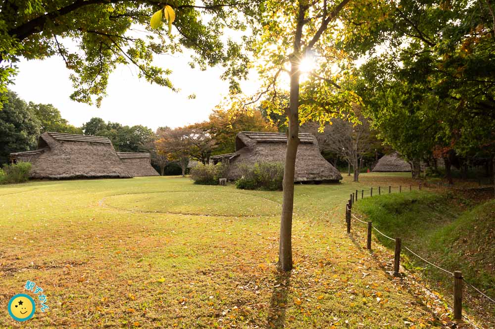 大塚遺跡の竪穴住居と紅葉